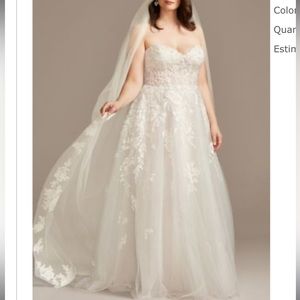 Floral Embroidered Cathedral Veil With Crystals in Ivory